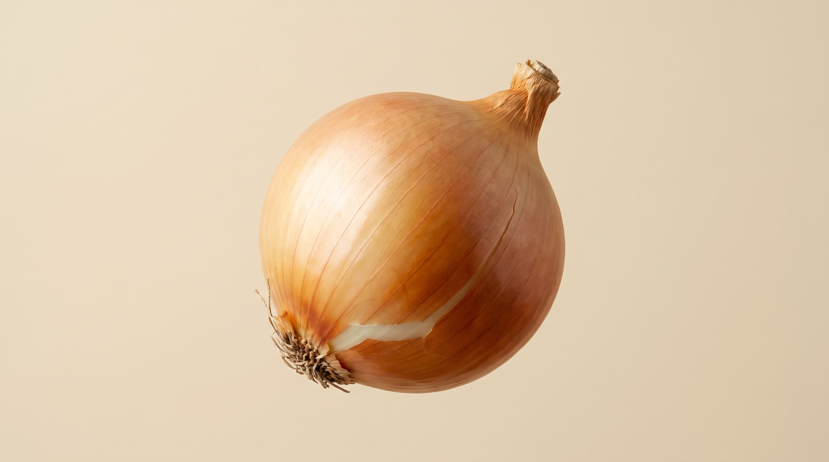 Cebolla