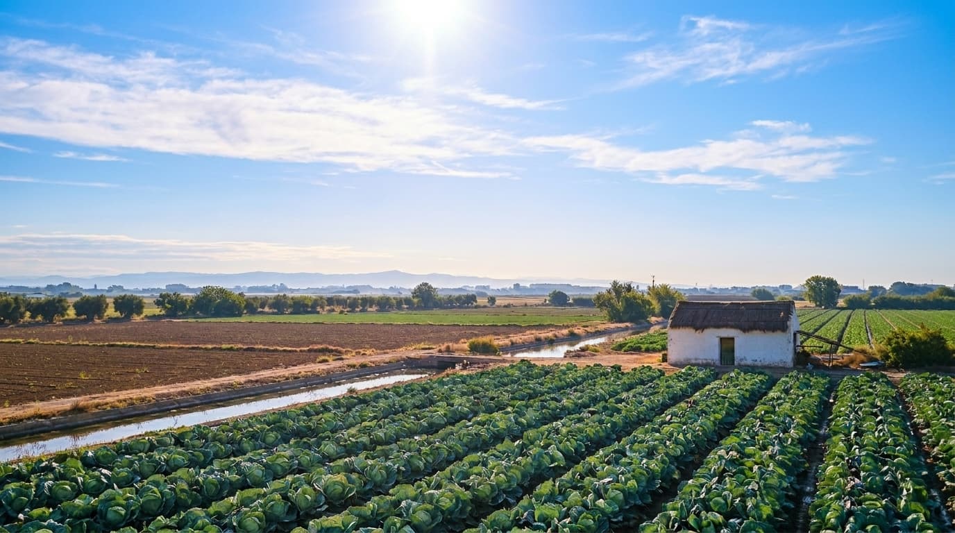 Huerta valenciana de Francisco Ballester